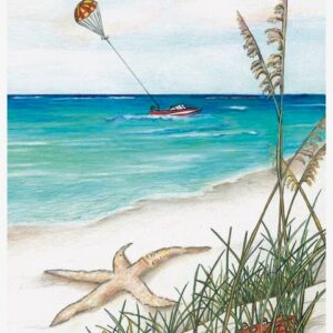 Beach with parasailing, starfish, and crab.
