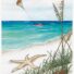 Beach with parasailing, starfish, and crab.
