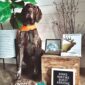 explore the outdoors books good luck hunters children's book