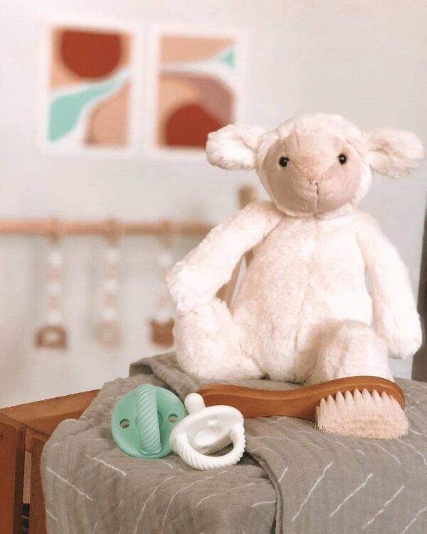 itzy ritzy sweetie soother™ pacifier sets (2 pack): agave + succulent cables Plush lamb with pastel baby toys and brush.