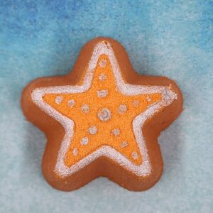 Fizz Bizz - Star Fish Bath Bomb small Summertime Beach Ocean