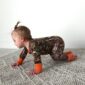 Baby crawling in camo outfit with orange accents.