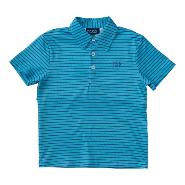Blue striped polo shirt with collar
