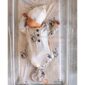 Newborn sleeps in animal-patterned outfit.