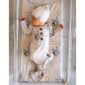Baby sleeping in animal print pajamas.