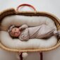 Baby in a wicker bassinet, wrapped and peaceful.