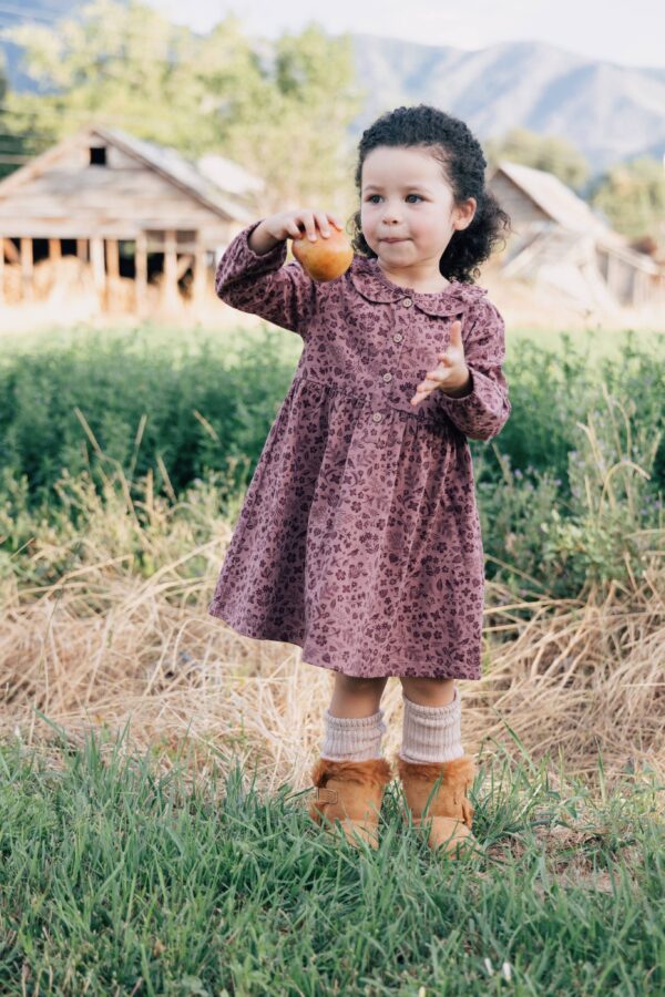 city mouse studio frill collar dress plum birds Child holding apple, standing in grassy field.