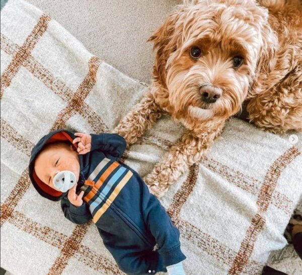 itzy ritzy sweetie soother™ pacifier sets (2 pack): agave + succulent cables Baby with pacifier and dog on blanket.