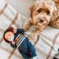 Baby with pacifier and dog on blanket.
