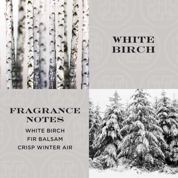 homeworx by slatkin + co. white birch 4 wick candle White birch, fragrance notes, snow-covered trees