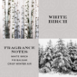 White birch, fragrance notes, snow-covered trees