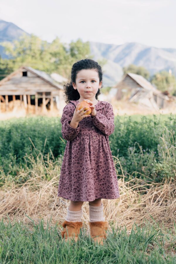 city mouse studio frill collar dress plum birds Child holding apple in a field