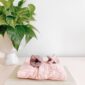 Plant, pink shirt, book, and pacifiers on table