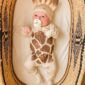 Baby in giraffe costume with pacifier in basket.