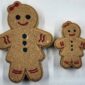 fizz bizz gingerbread boy girl and cabin bath bomb