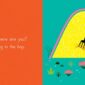 simon & schuster hide and seek on the farm by lucie brunellière