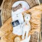 Baby announcement with ultrasound, toy, and outfit.
