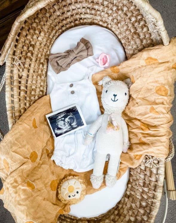 itzy ritzy sweetie soother™ pacifier sets (2 pack): pink bows Baby essentials and ultrasound in a wicker basket.