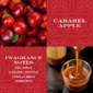 Caramel apple fragrance with notes of cinnamon, vanilla.