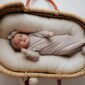 Baby in a cozy wicker bassinet.